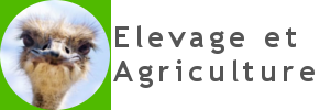 logo elevage.png